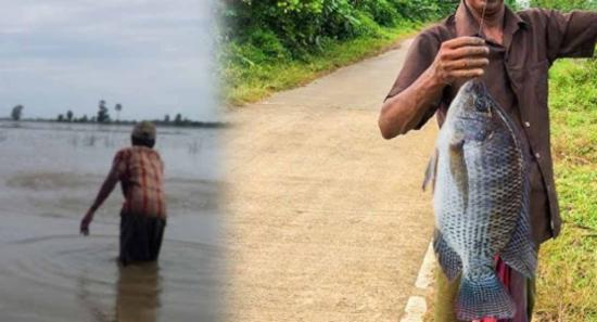 මිරිදිය ධීවර කර්මාන්තයට බලපෑම්...